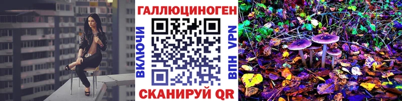 Галлюциногенные грибы Psilocybe  Арамиль 